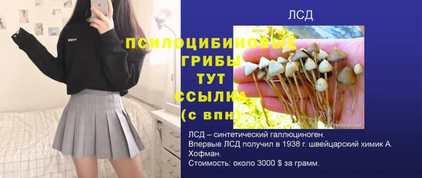 круглые Алзамай