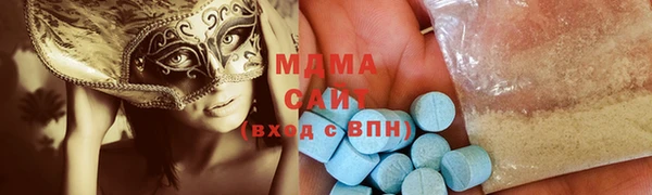 индика Алексин