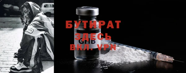 индика Алексин