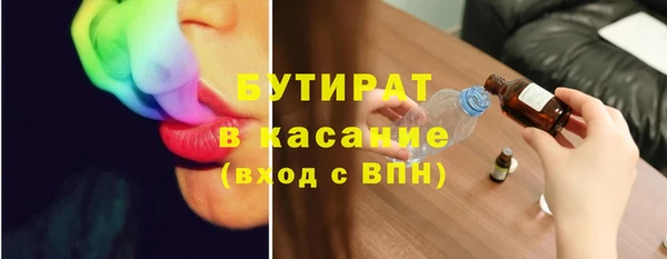 индика Алексин