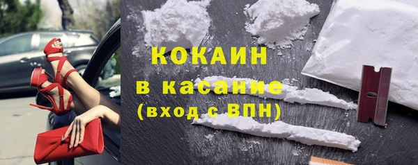 индика Алексин