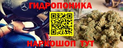 Альфа ПВП Нягань