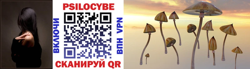 Псилоцибиновые грибы MAGIC MUSHROOMS  сколько стоит  Туймазы 