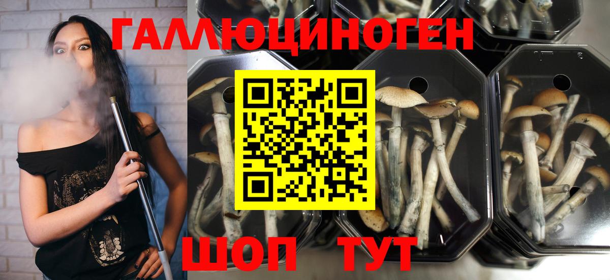 Псилоцибиновые грибы MAGIC MUSHROOMS  Вход с VPN  как найти закладки  Туймазы 