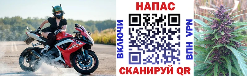 Канабис план  мориарти состав  Туймазы  OMG ССЫЛКА 